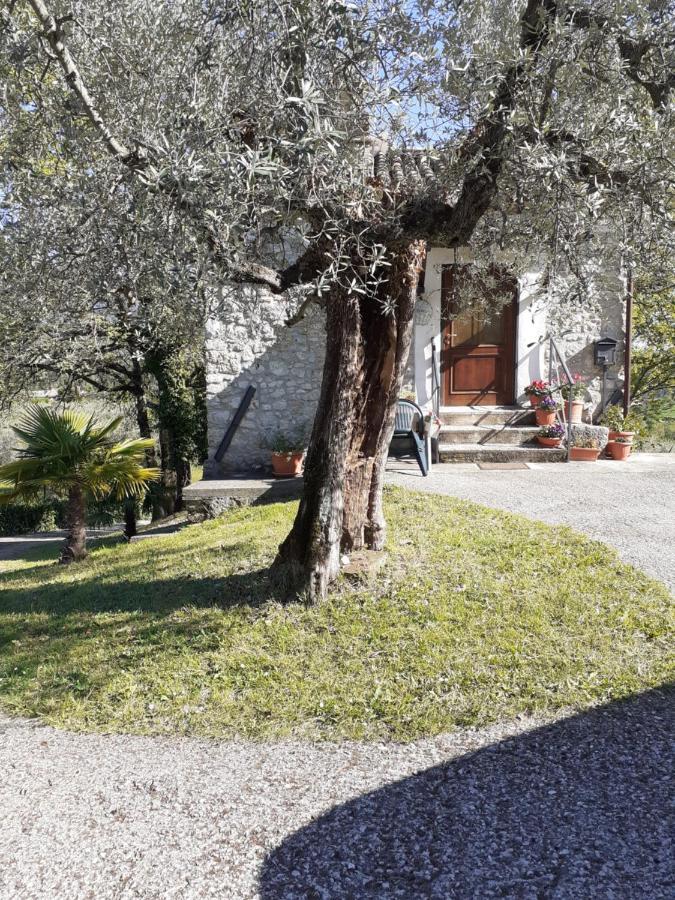 La Casetta Di Vacone מראה חיצוני תמונה