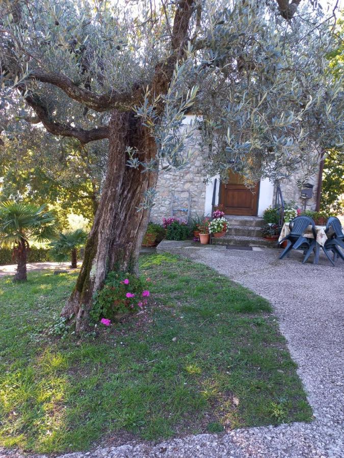 La Casetta Di Vacone מראה חיצוני תמונה